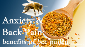 Chiropractic Solutions shares info on the benefits of bee pollen on cognitive function that may be impaired when dealing with back pain.