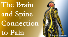 Chiropractic Solutions shares at the connection between the brain and spine in back pain patients to better help them find pain relief.