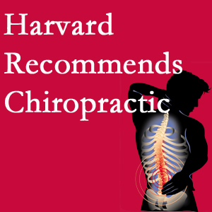 Chiropractic Solutions offers chiropractic care like Harvard recommends.