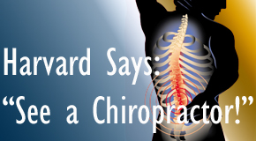San Jose chiropractic for back pain relief urged by Harvard