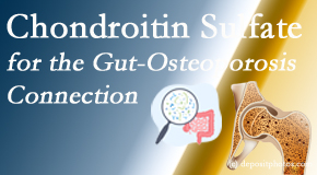 Chiropractic Solutions shares new research linking microbiota in the gut to chondroitin sulfate and bone health and osteoporosis. 