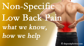 Chiropractic Solutions describes the specific characteristics and treatment of non-specific low back pain. 