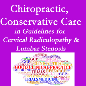 San Jose chiropractic care for cervical radiculopathy and lumbar spinal stenosis is often ignored in medical studies and recommendations despite documented benefits. 