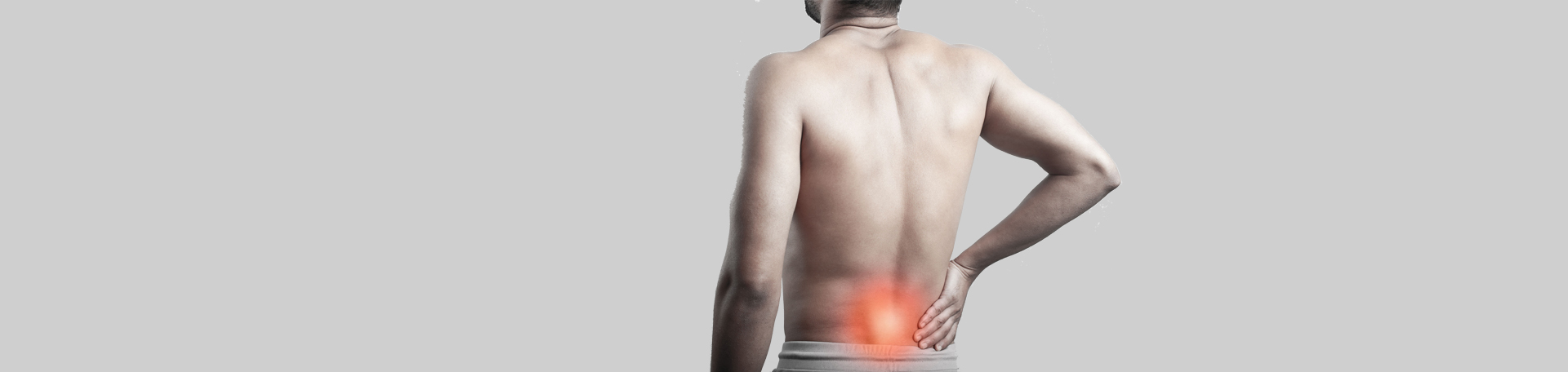 San Jose back paraspinal muscles
