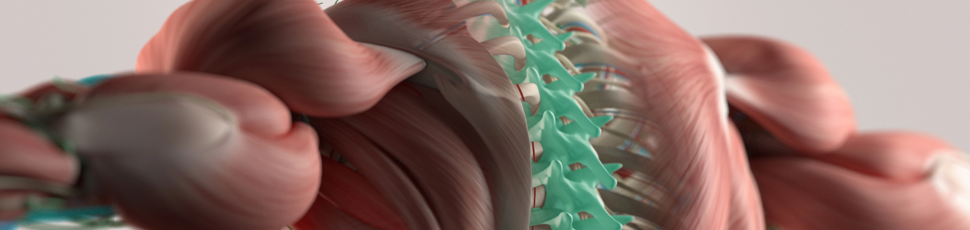 San Jose thoracic spine