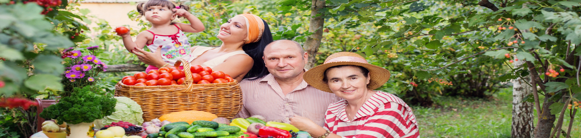  San Jose chiropractic summer health tips