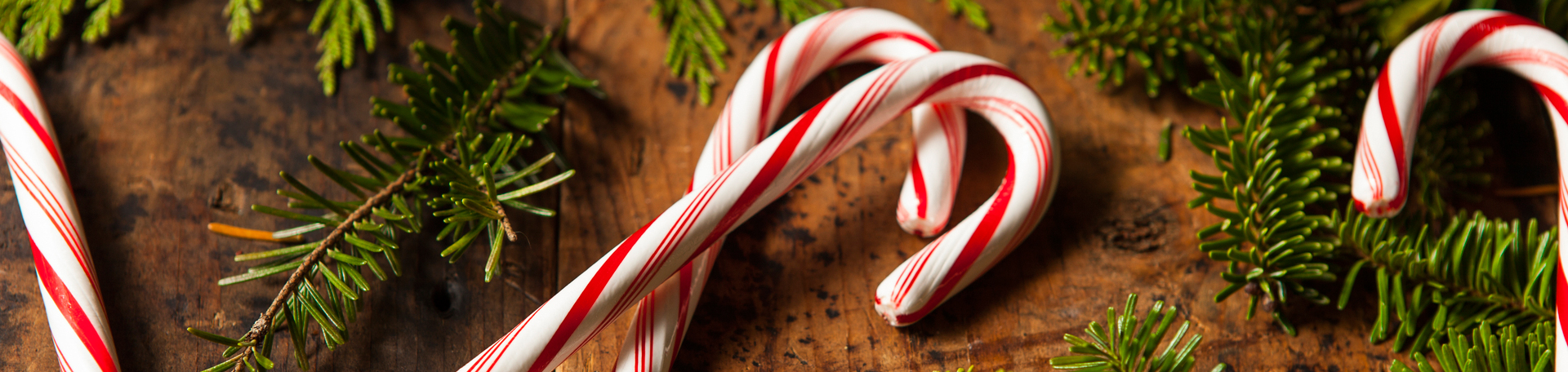Peppermint for San Jose Cognition & Appetite Regulation!