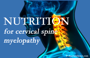 Chiropractic Solutions shares the nutritional factors in cervical spine myelopathy in its development and management.