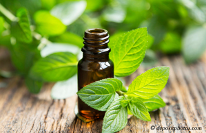 San Jose peppermint pain relieving benefits
