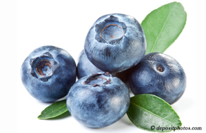 San Jose chiropractic and nutritious blueberries