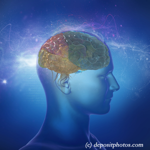 picture of a brain for cognition influenced by balance that San Jose chiropractic can help 