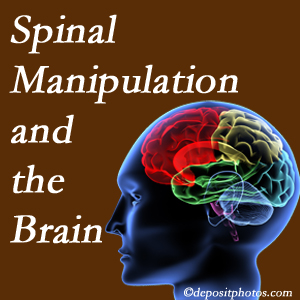 Chiropractic Solutions [shares research on the benefits of spinal manipulation for brain function. 