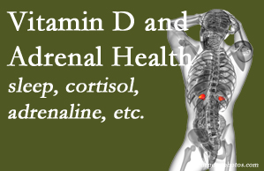 Chiropractic Solutions shares new studies about the effect of vitamin D on adrenal health and function.